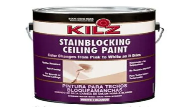 can i use kilz in a paint sprayer