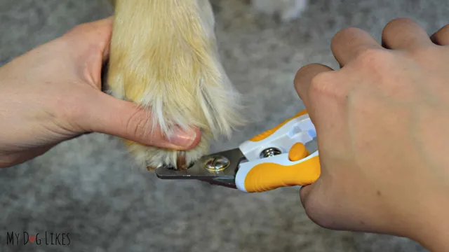 can you cut dog nails with wire cutters