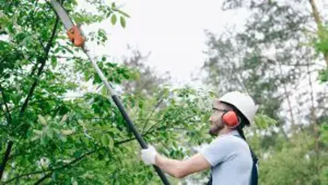 how to cut tree limbs with a pole saw
