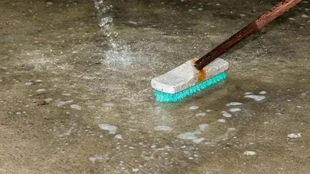 how to get dog poop stains out of concrete