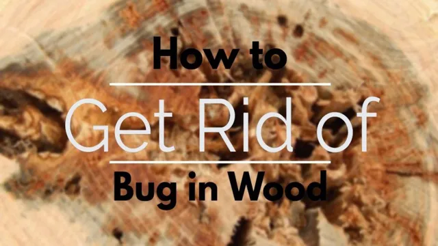 how to kill bugs in wood 2