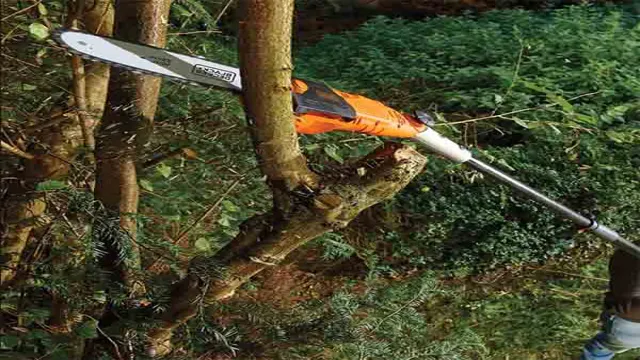 how to oil black and decker pole saw