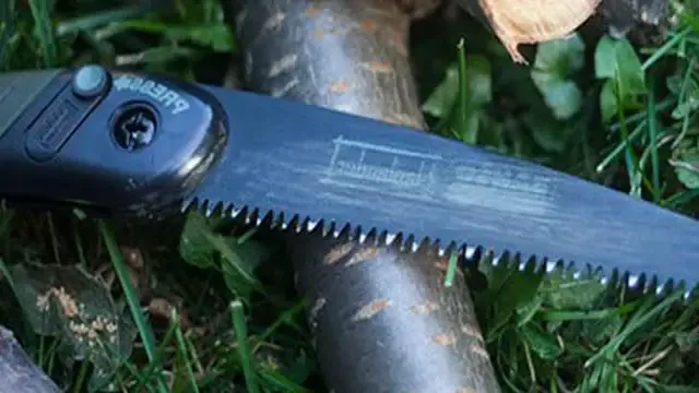 how to sharpen a pole saw