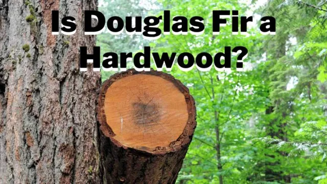 how to treat douglas fir for outdoor use