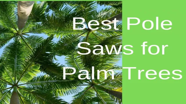 how to trim a palm tree with a pole saw