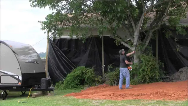 how to trim tree with pole saw