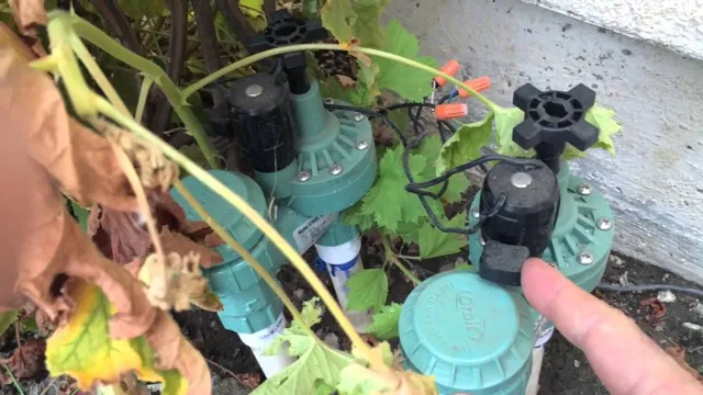 how to turn on rain bird sprinkler system manually