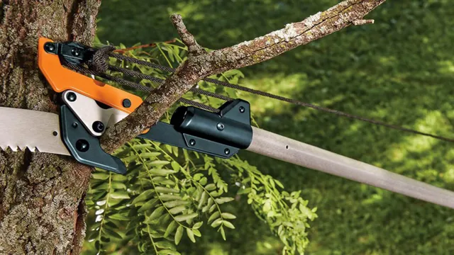 how to use a pole saw and pruner