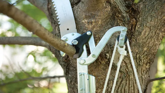 how to use fiskars extendable pole saw pruner