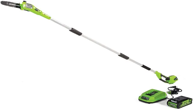 what is the best battery pole saw