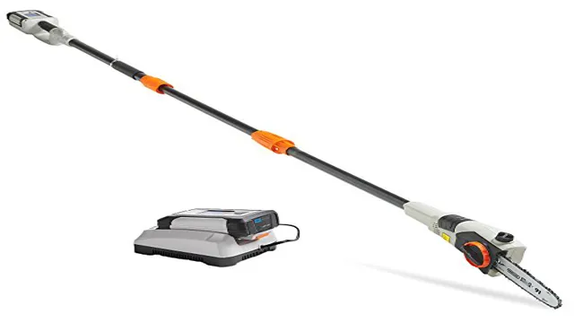 what is the best battery powered pole saw