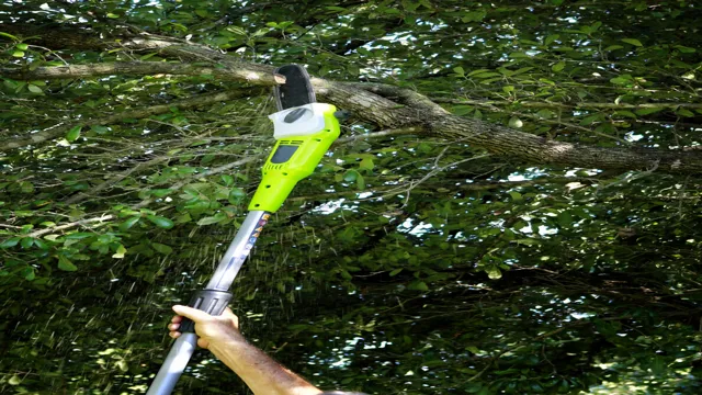 what is the best cordless pole saw