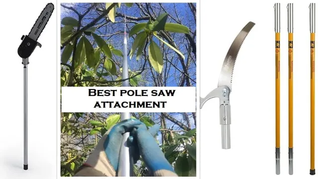 what is the best pole saw to buy