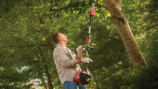 who makes the best gas powered pole saw