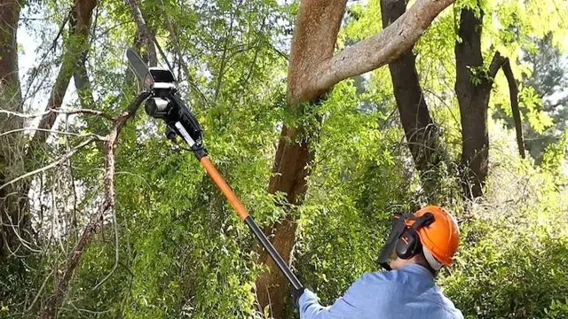 who makes the best pole saw